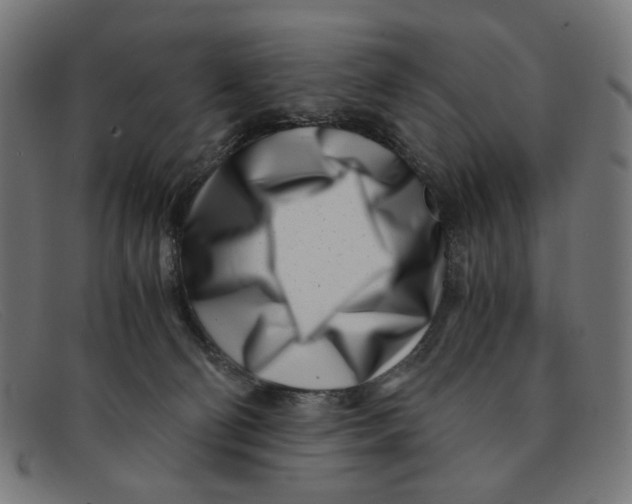 X0000091450130200709131722