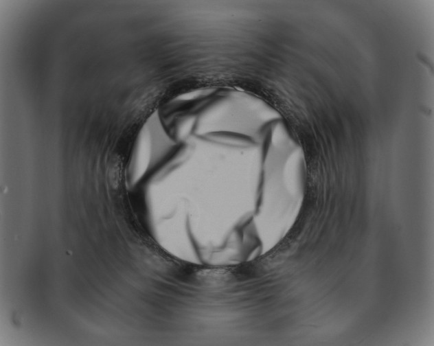 X0000091450133200709131722