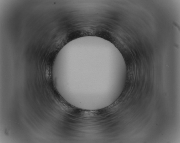 X0000091450134200709131722