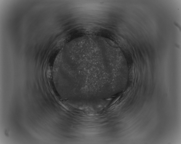 X0000091450137200709131722