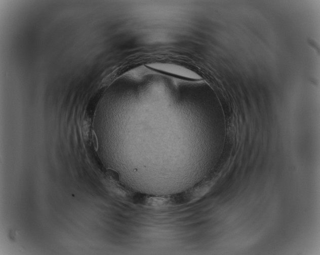 X0000091450139200709131722