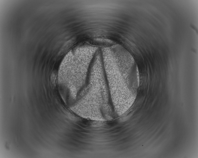 X0000091450142200709131722