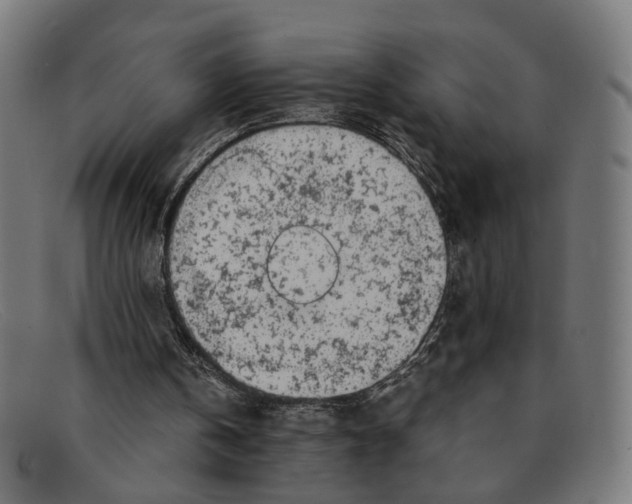 X0000091450146200709131721