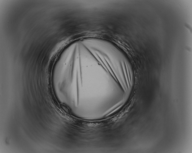 X0000091450149200709131721