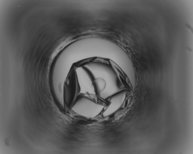 X0000091450150200709131721