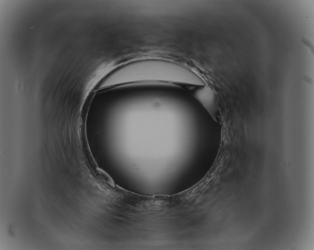 X0000091450152200709131721