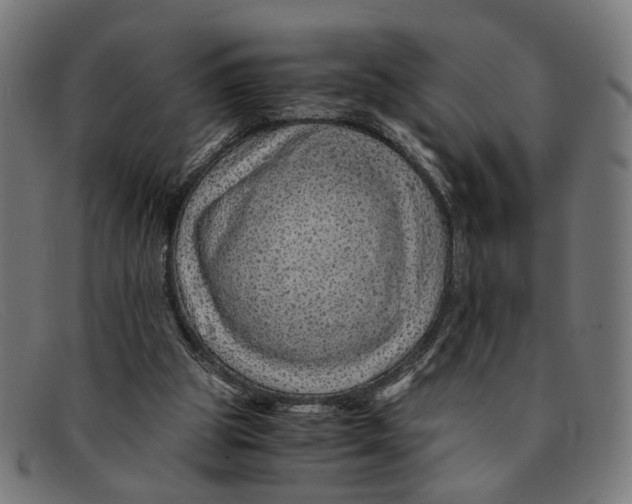 X0000091450153200709131721