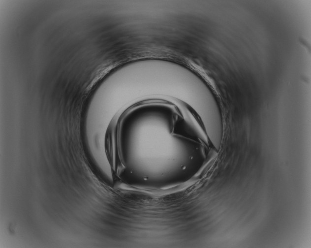 X0000091450154200709131721