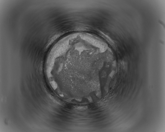 X0000091450155200709131721