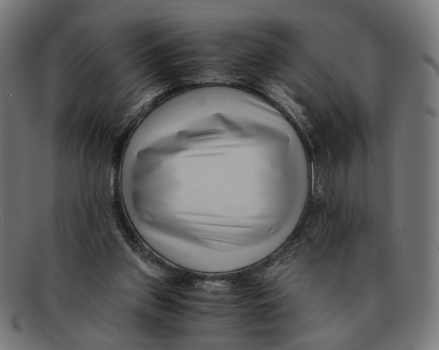 X0000091450157200709131721