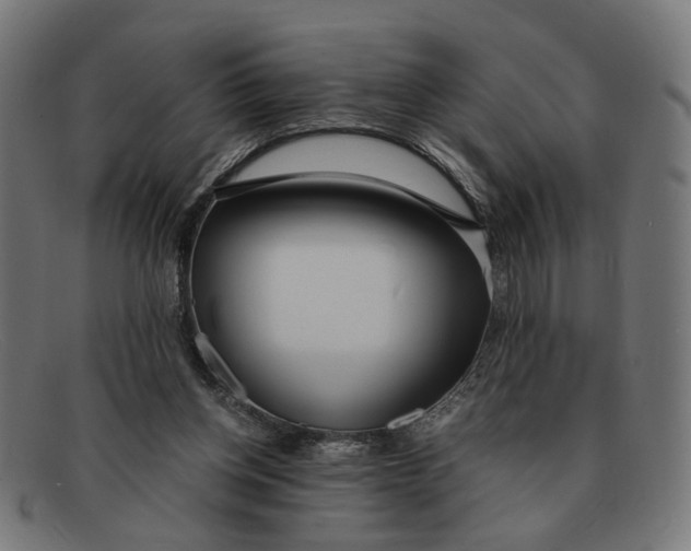 X0000091450158200709131721