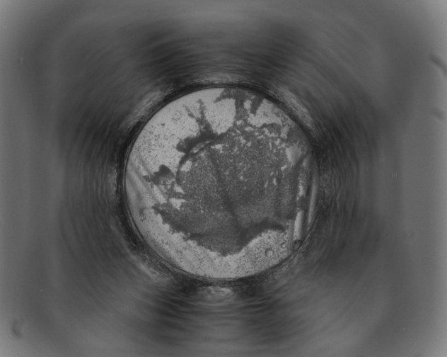 X0000091450159200709131721