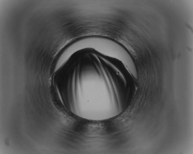 X0000091450160200709131721
