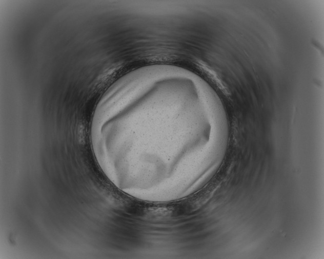 X0000091450161200709131721