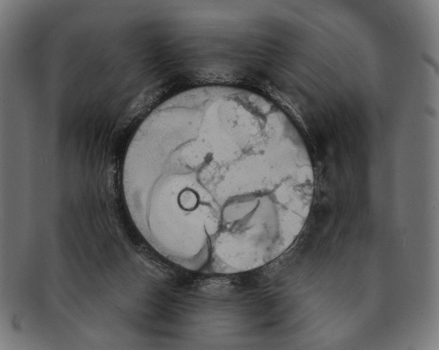 X0000091450162200709131721