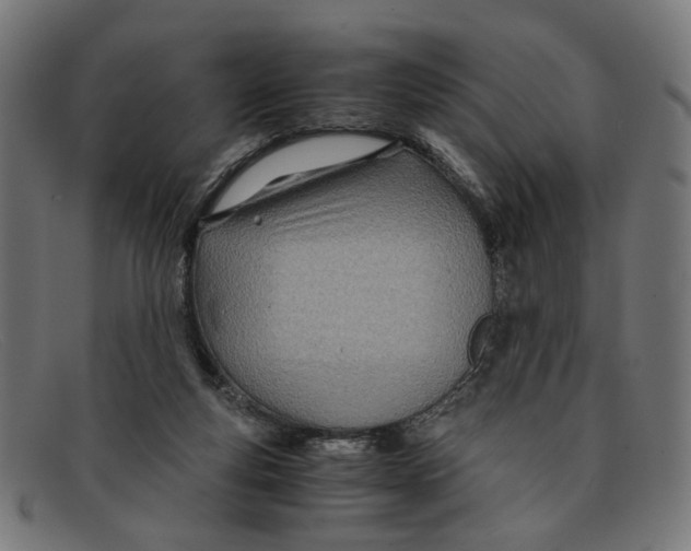 X0000091450163200709131722