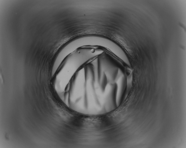 X0000091450164200709131722