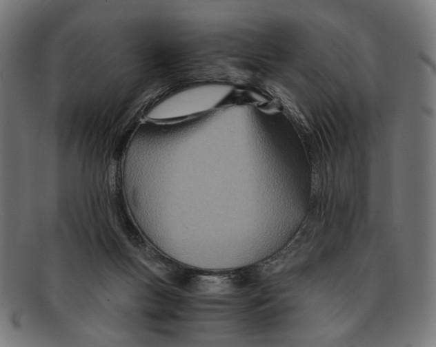 X0000091450167200709131722