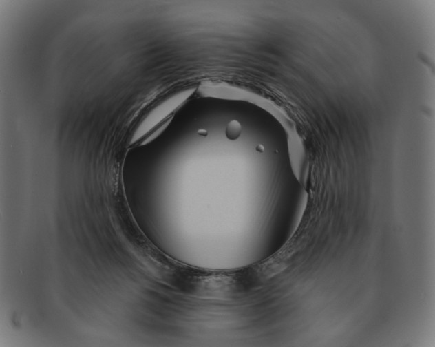 X0000091450168200709131722