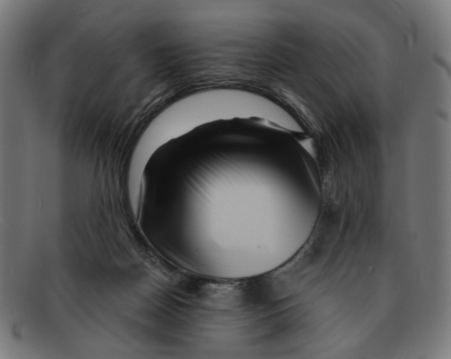 X0000091450170200709131722