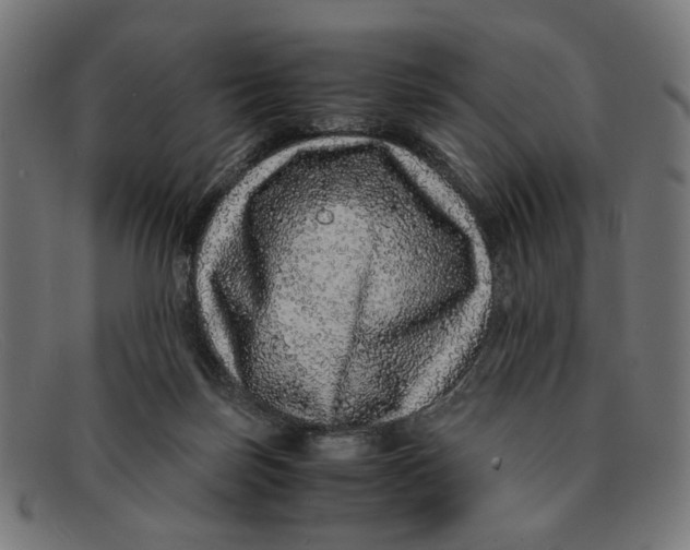 X0000091450171200709131722
