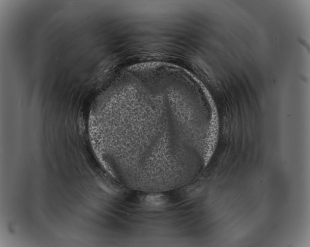 X0000091450173200709131722