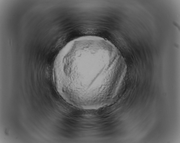X0000091450175200709131722