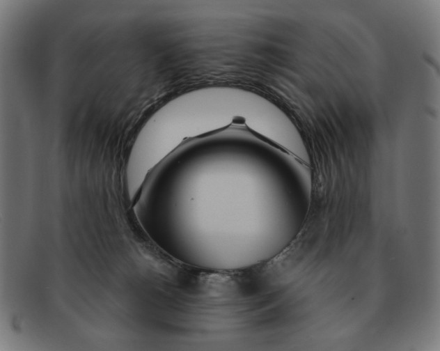 X0000091450180200709131722