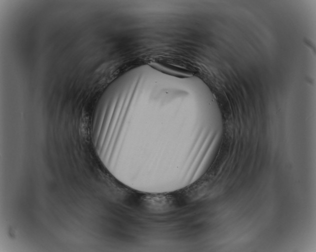 X0000091450181200709131722