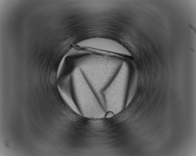 X0000091450189200709131722
