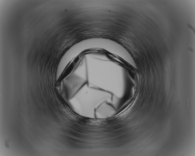 X0000091450190200709131722