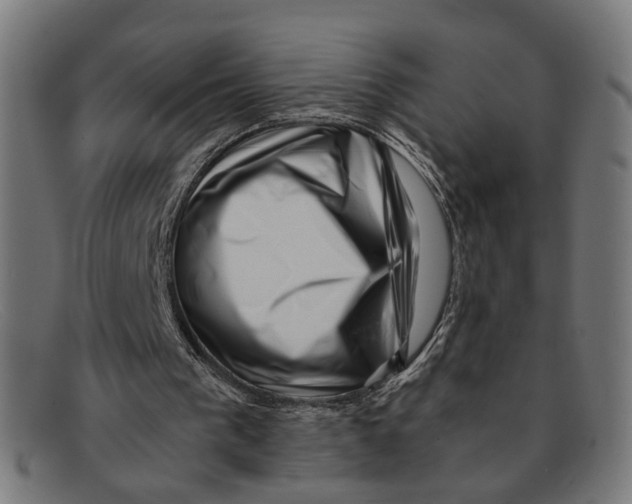 X0000091450193200709131721