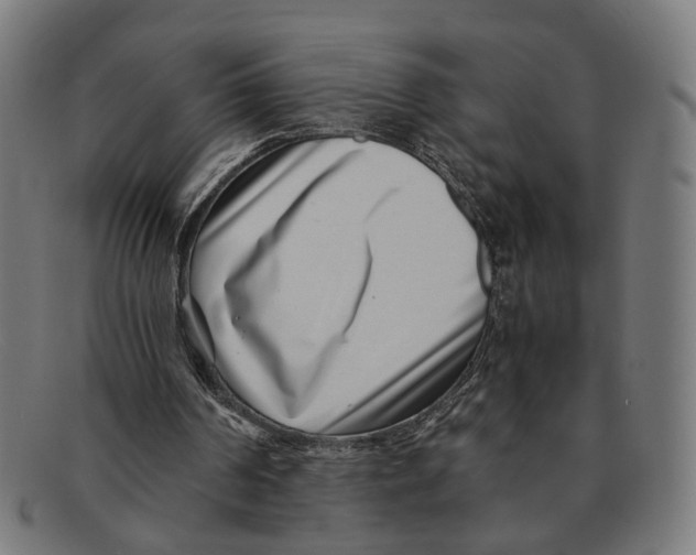 X0000091450194200709131721