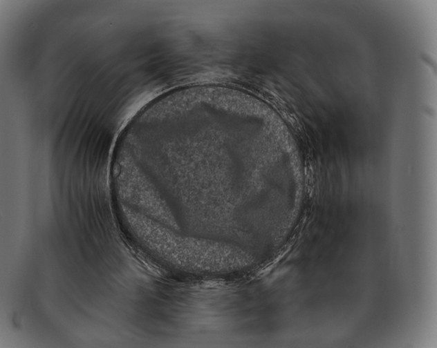 X0000091450196200709131721
