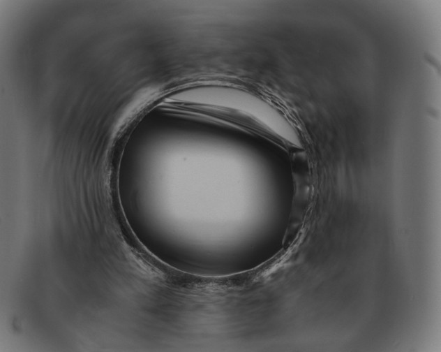 X0000091450197200709131721