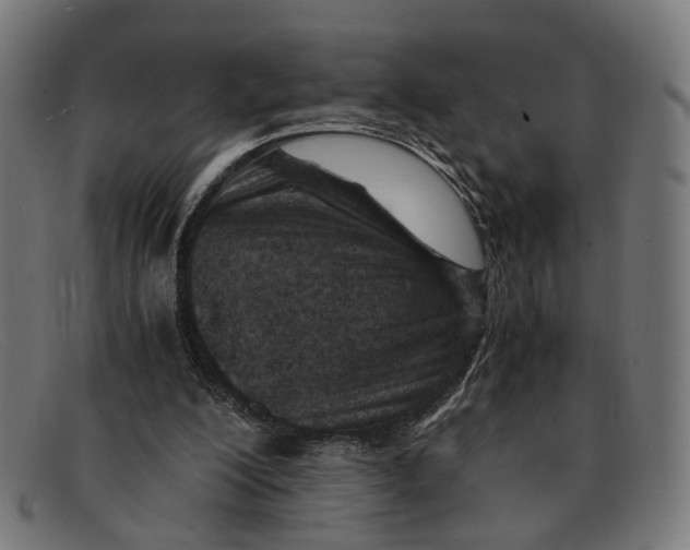 X0000091450200200709131721