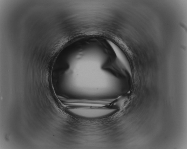 X0000091450201200709131721