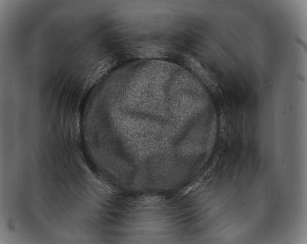 X0000091450202200709131721