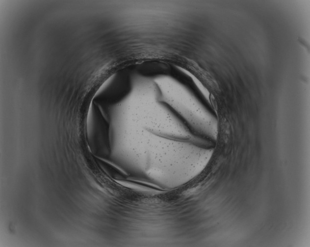 X0000091450203200709131721