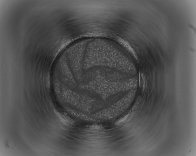 X0000091450204200709131721