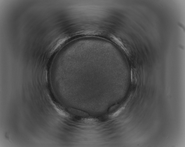 X0000091450205200709131721