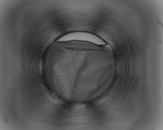 X0000091450206200709131721