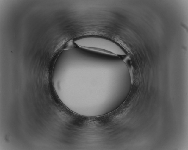 X0000091450207200709131721