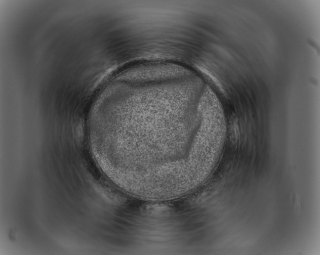 X0000091450208200709131721