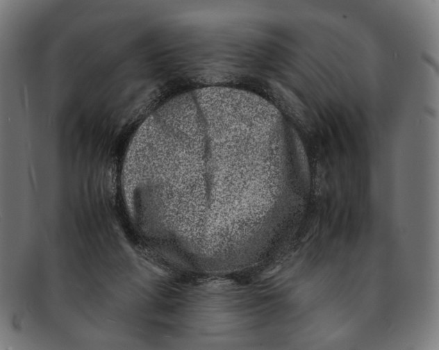 X0000091450210200709131721