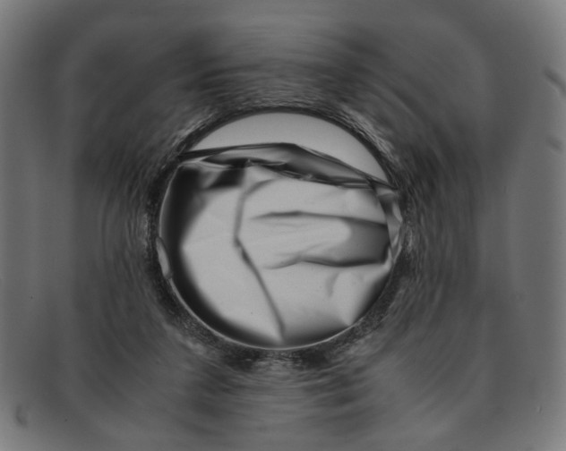 X0000091450211200709131721