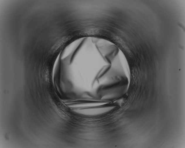 X0000091450212200709131721