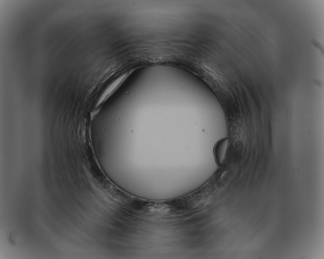 X0000091450214200709131721