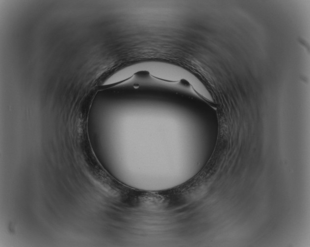 X0000091450215200709131721