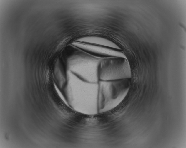 X0000091450216200709131721